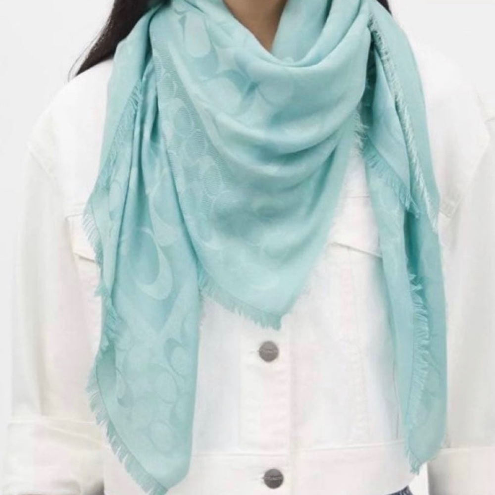 Elegant Blue Scarf